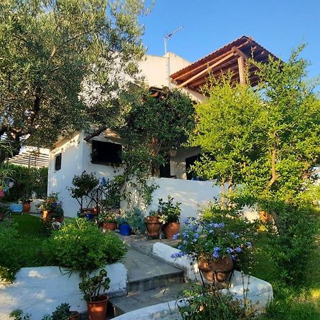 Sonia'S House With Garden Villa Gerakini Exterior photo