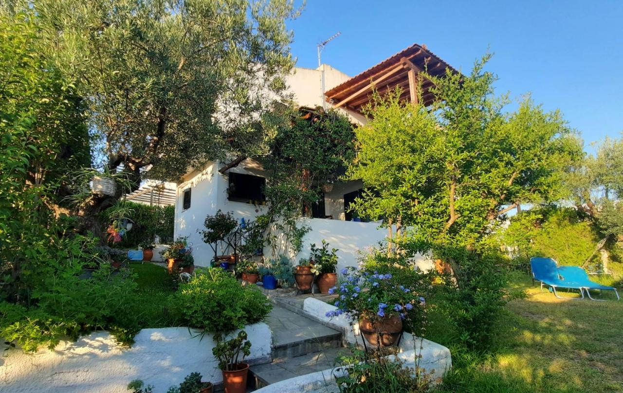 Sonia'S House With Garden Villa Gerakini Exterior photo