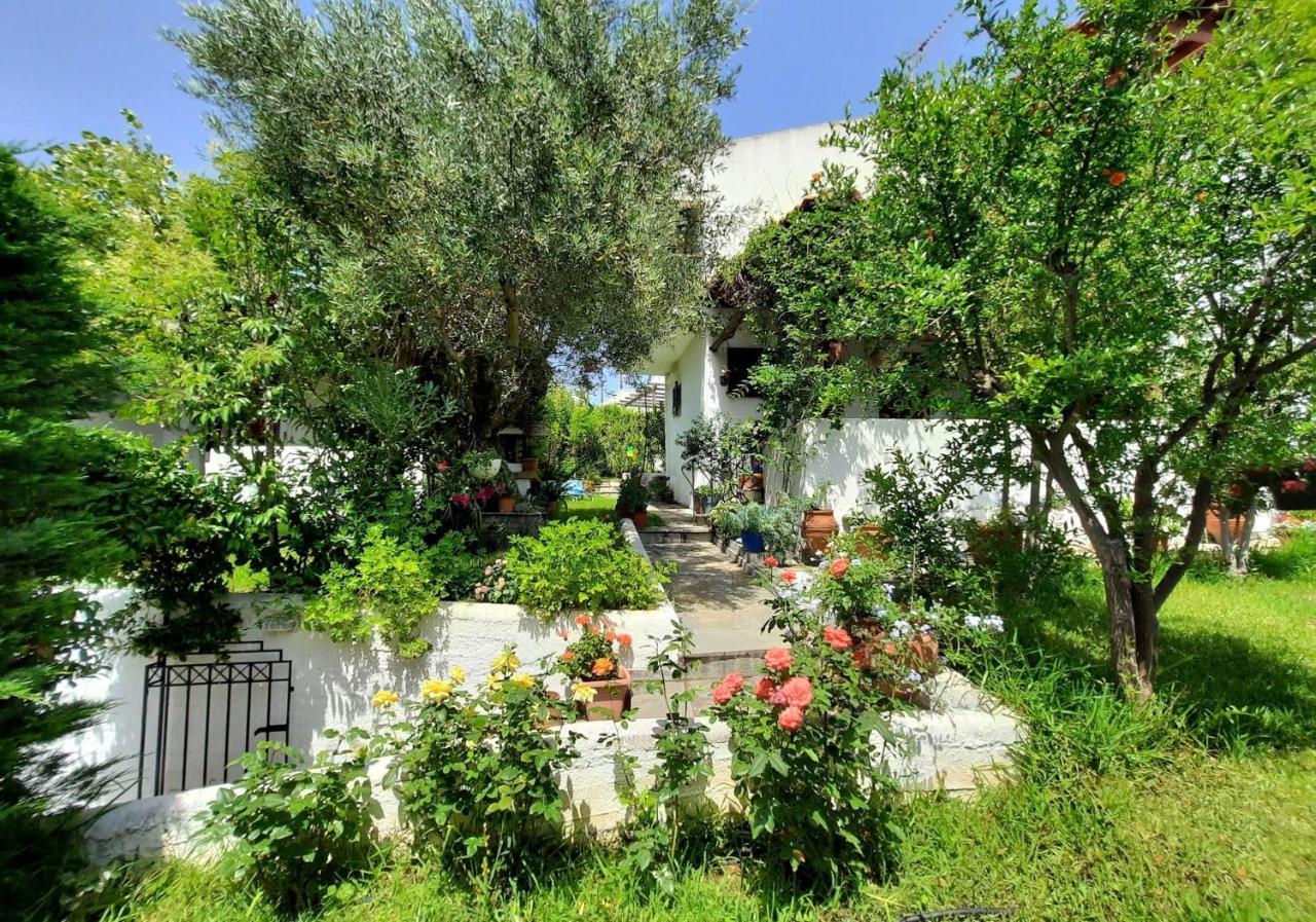 Sonia'S House With Garden Villa Gerakini Exterior photo