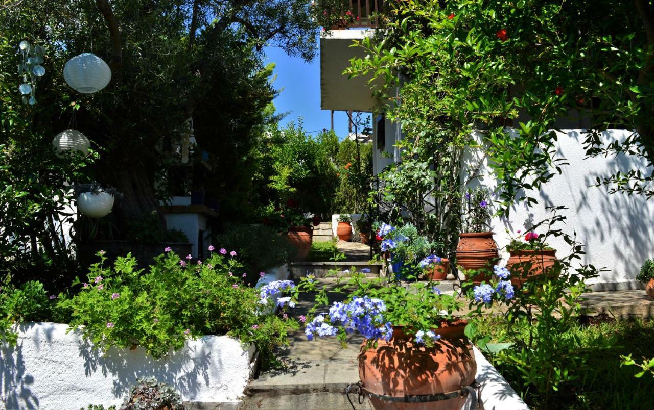 Sonia'S House With Garden Villa Gerakini Exterior photo