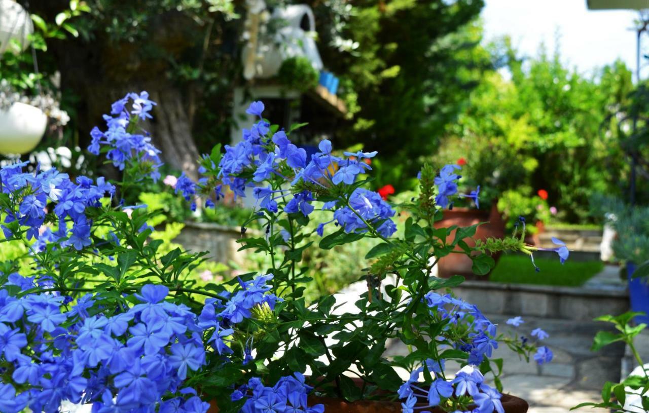 Sonia'S House With Garden Villa Gerakini Exterior photo